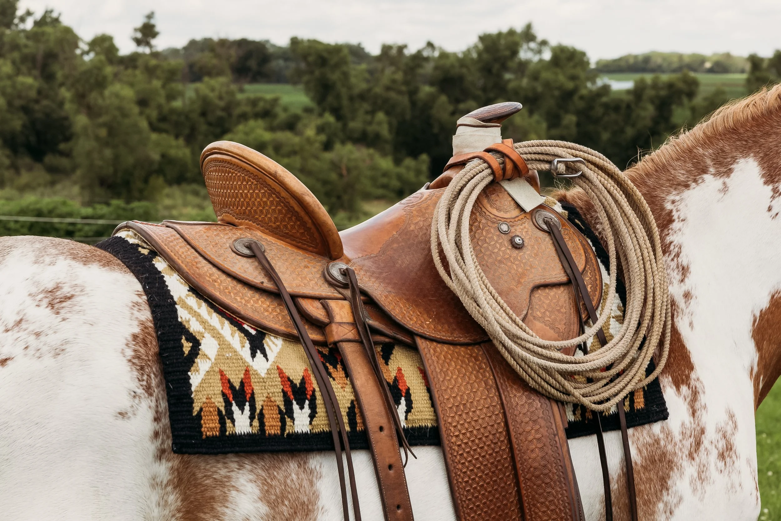 Elko Saddle Blanket — Yonder Horse